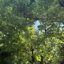 수원주유소 이미지