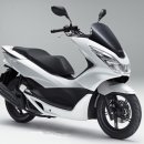 반올림피자샵동대문구점 이미지