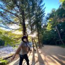 홀릭코리아 이미지