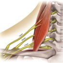 강남피티 이미지