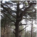 산성등산로2 이미지