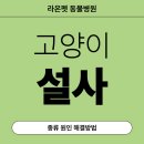 라온펫동물병원 | [라온펫 동물병원] 고양이 설사 종류, 원인과 해결방법
