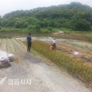 정읍 과교파출소 정읍시사