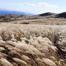 황매산군립공원 이미지