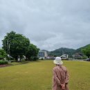 청도박물관 | 240605 청도박물관 이용후기