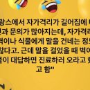 더봄애견 이미지