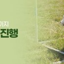 반려동물의상제작 이미지