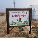 느림보농장 티스토리