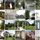 (주)메디웨이코리아 이미지