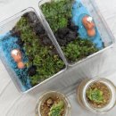 대명 태권도장 | 세종시 테라리움 여름 특강 후기