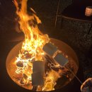 스테이노은 이미지