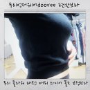 두리모아 | 여성브라 여자속옷 보정브라 추천 두리언더웨어dooree 플라워 패턴 메쉬브라 솔직후기