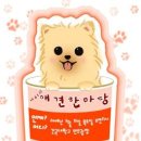 성보물산(주) 이미지