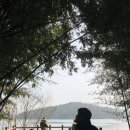 오리여행 이미지