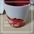 새육일약국 | 책 후기- 육일 약국 갑시다