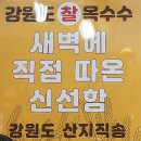 더파란유통 이미지
