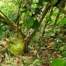 와리농장 이미지