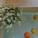 카페플로버 이미지