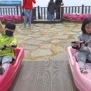 스카우트 그루터기 네이버블로그