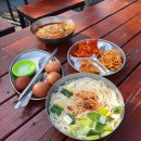 담양-01 | 🌿담양 대나무축제 완벽 가이드🔥 주차·동선·먹거리·인생샷 총정리