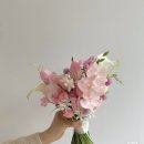 아뜰리에윤