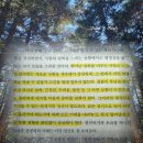 올림픽모터스 | 내면 근력 책 | 짐 머피 책 후기 | 어떤 위기에도 흔들리지 않는 마음의 근육을 기르는 법 추천 리뷰...