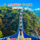 버스정류장 07-168 Daum카페