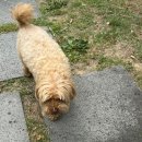 (주)아웃오브파크 | 춘천 감성 카라반 여행 | 아웃오브파크 아메리칸드림 솔직 후기
