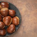 시너지 짐 이미지