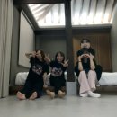 스테이독채펜션