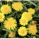 큰나무주야간보호센터 이미지