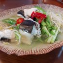 동해복어 이미지