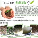 탱글탱글맛있는 유기농 찰토마토판매 이미지