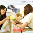 롯데아울렛 이미지