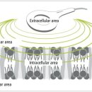 대한메디칼 이미지