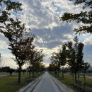 금강수변공원(대평동) 이미지