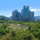 보라매 2호(어린이놀이터) 이미지