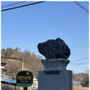 라파엘메디케어 이미지