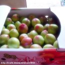 유구농장 이미지