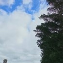 나인골프클럽 | 짧지만 만만하지 않은 산악형 코스, 시드니 벡슬리 골프 클럽(Bexley Golf Club)