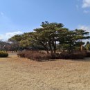중마당구장 이미지