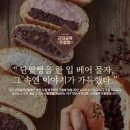 대구 빵집 가볼만한곳 대구미술관에서 빵지순례 이미지