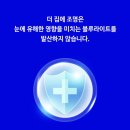 집에(zibe) 네이버블로그