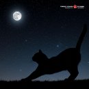 자세교정 스트레칭 이미지