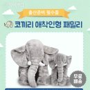 인형클럽 이미지