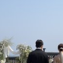 참플레르 이미지