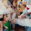 자스민 동물병원 이미지