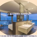 스텔라마리스 호텔 | 다낭 스텔라 마리스 비치: 인생 호텔 추천 &amp; 솔직 후기, 다낭여행 필수!