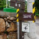 정금마을 차밭 앞 이미지