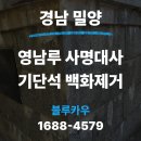 경남종합상가 | [백화제거] 경남 밀양 영남루 사명대사 동상 기단석 백화제거 작업